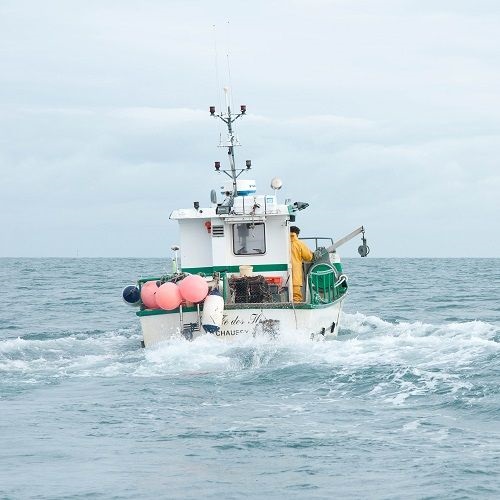 Les pêcheries engagées dans le programme