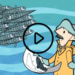 Kahoot! Quiz & Spiele