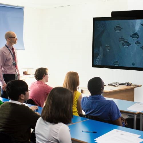 Les Bourses de Recherche pour étudiants du MSC