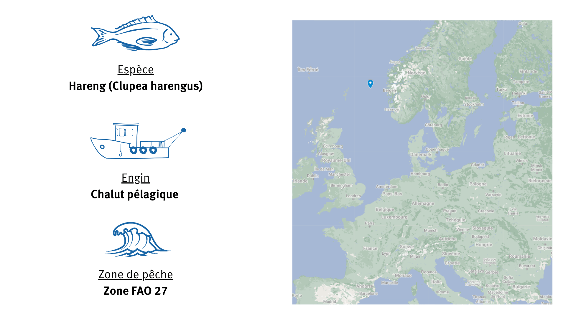 Pêcherie de hareng de Mer du Nord Fiche d'identité Pêcherie de hareng de Mer du Nord