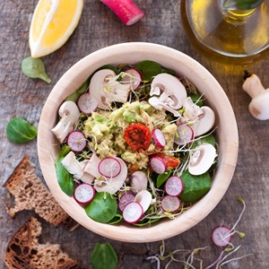 Guacamole au thon, salade aux graines germées