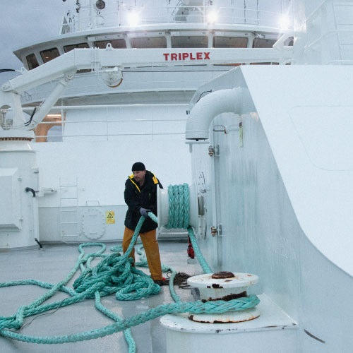 Pêcherie de cabillaud et d'églefin d'Arctique Nord-Est