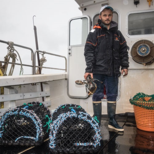 Pêcherie de homard du Cotentin et de Jersey