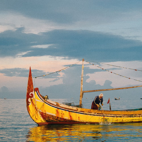 sauvegarde_crabe_bleu_nageur_indonesie sauvegarde_crabe_bleu_nageur_indonesie