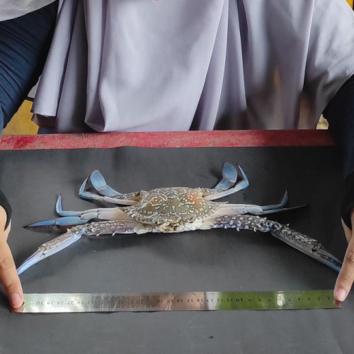 utilisation_adn_captures_accidentelles