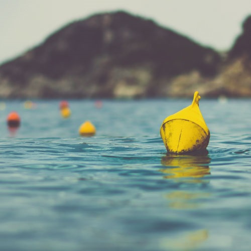 Track a Fishery