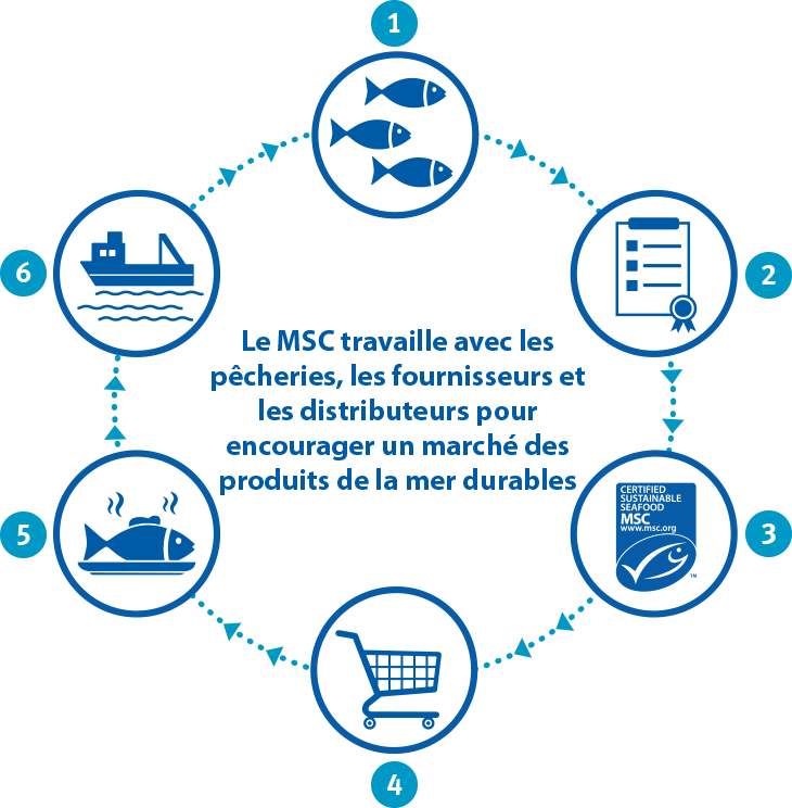 théorie du changement du MSC