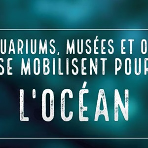 Aquariums, musées, ONG s'unissent contre l'effondrement des ressources marines 