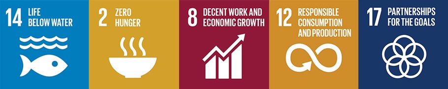 un-sdgs-x5