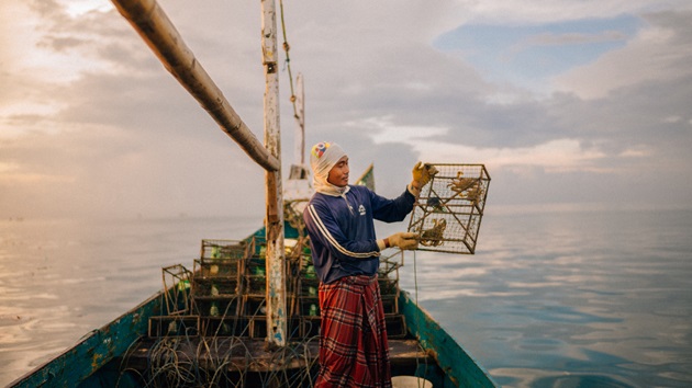 Ocean Stewardship Fund