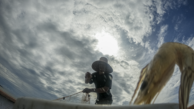 Laporan Eksekutif Dampak Strategis