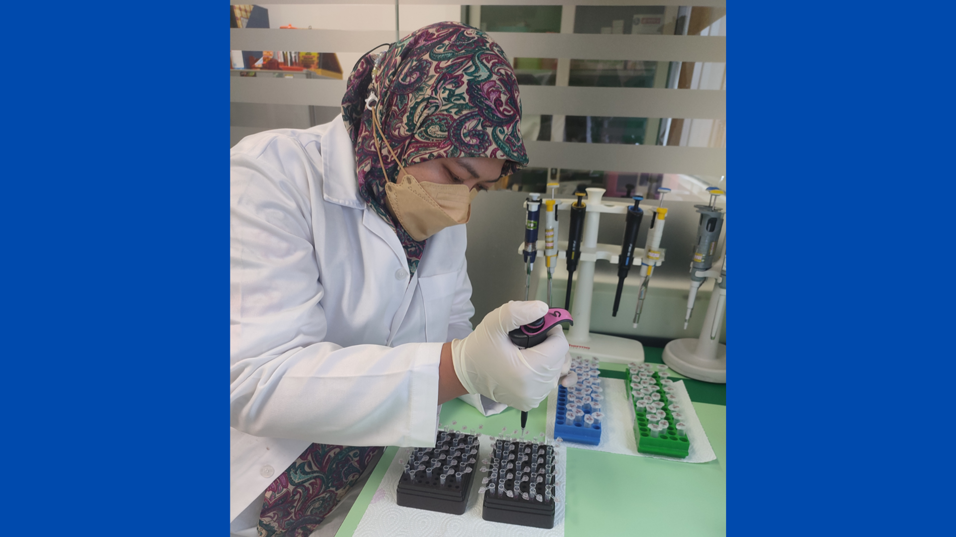 Snapper Identification via genetic markers