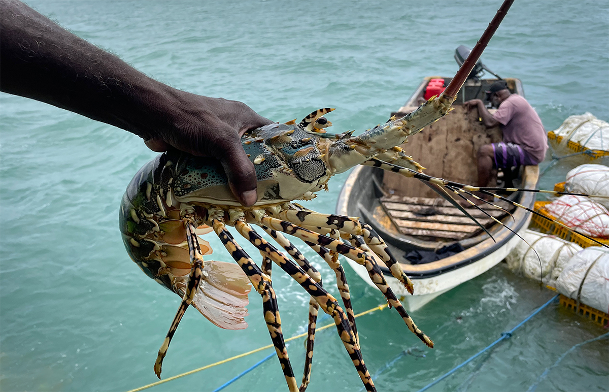 Sustainable triumph for Papua New Guinea