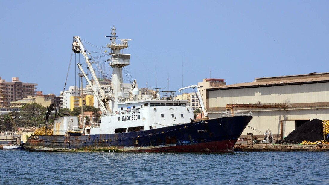 A tuna vessel in the port of Dakar