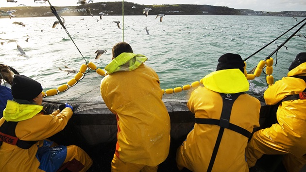 Developing our requirements