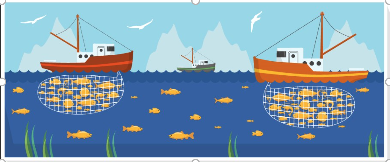 Screenshot 2024-02-15 at 00.17.35