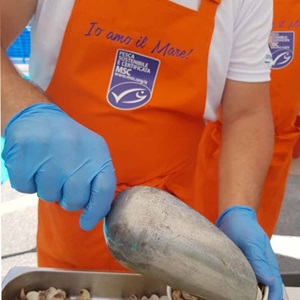 Perchè utilizzare il marchio blu