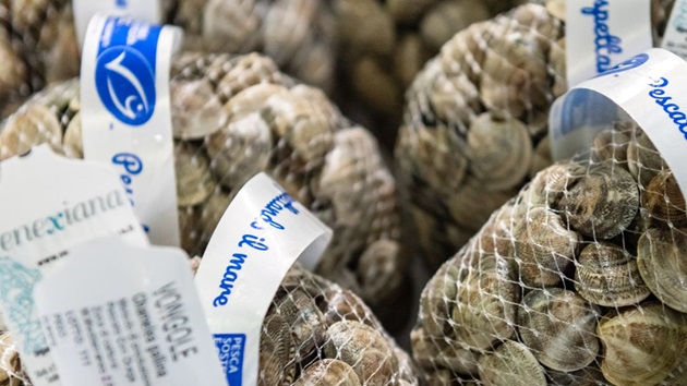 COSA SIGNIFICA IL MARCHIO BLU