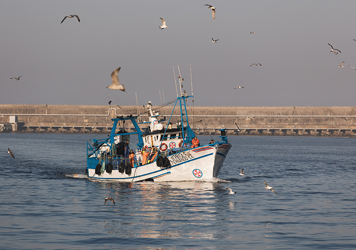 Aperta una consultazione di 60 giorni sulle proposte di miglioramento del programma MSC per la pesca