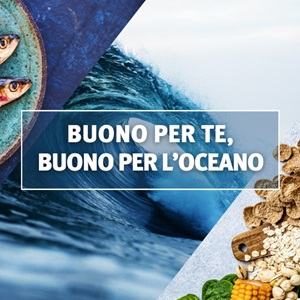 Scarica il ricettario completo