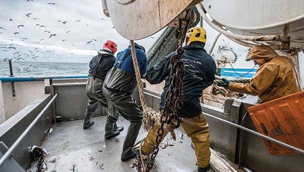 IL NOSTRO CONTRIBUTO AL CAMBIAMENTO