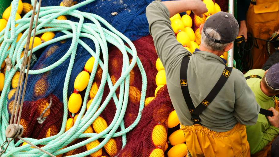 MSC affronta il protrarsi degli impatti del Covid-19 con condizioni e requisiti per audit temporanei