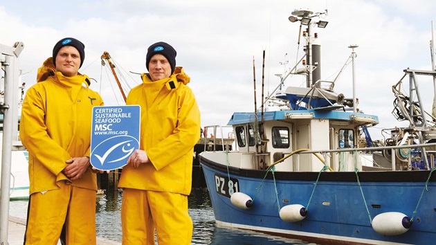 COSA SIGNIFICA IL MARCHIO BLU