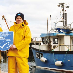 10 motivi per scegliere il marchio blu