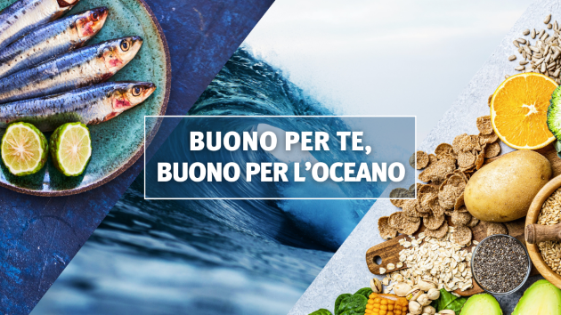 RICETTE PER L’OCEANO 2024