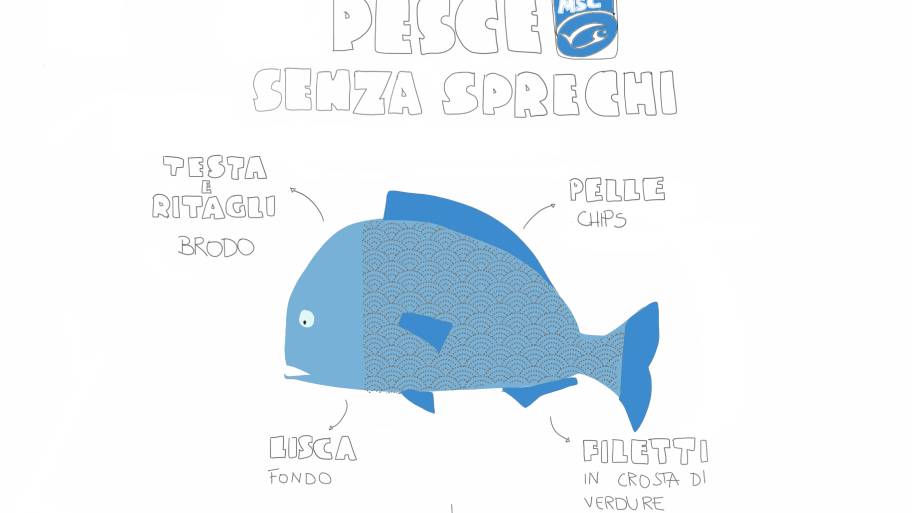 PESCE MSC SENZA SPRECHI