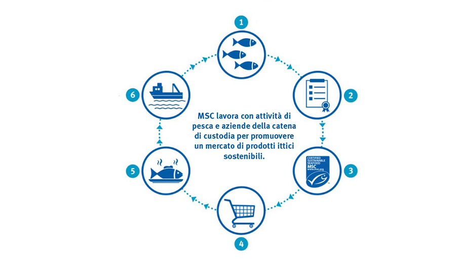 teoria del cambiamento