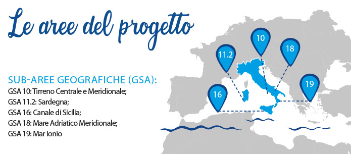 Blufish progetto Italia