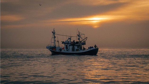 Yrkesfisken i ständig förbättring