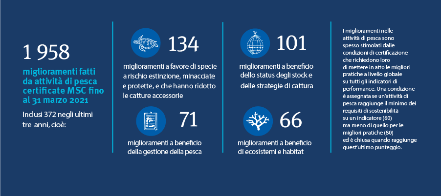 Miglioramenti nella pesca sostenibile Miglioramenti nella pesca sostenibile