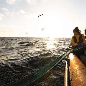 Siamo tutti sulla stessa barca: tornano le Settimane della Pesca Sostenibile