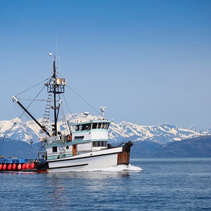 Attività di pesca