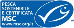 Italian landscape blue MSC logo