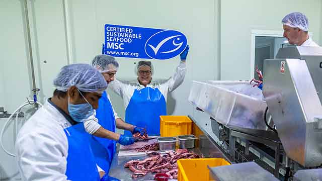 La sostenibilità conviene: la certificazione MSC aumenta il valore delle aziende del settore ittico.