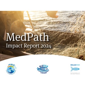 Un nuovo approccio per la sostenibilità della pesca nel Mediterraneo nell’ultimo rapporto di Marine Stewardship Council