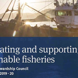 Il nuovo Annual Report di Marine Stewardship Council esorta a un maggiore impegno per il bene degli oceani