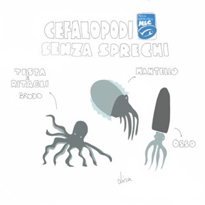 Risotto con le trippe di mare - Senza spreco by Lisa Casali