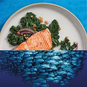 Altre ricette con il salmone