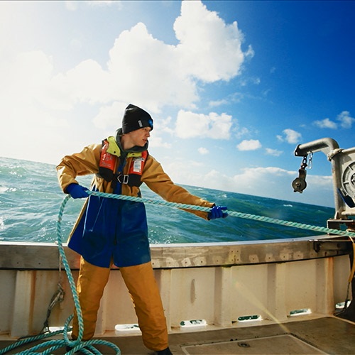 Cerca un'attività di pesca certificata