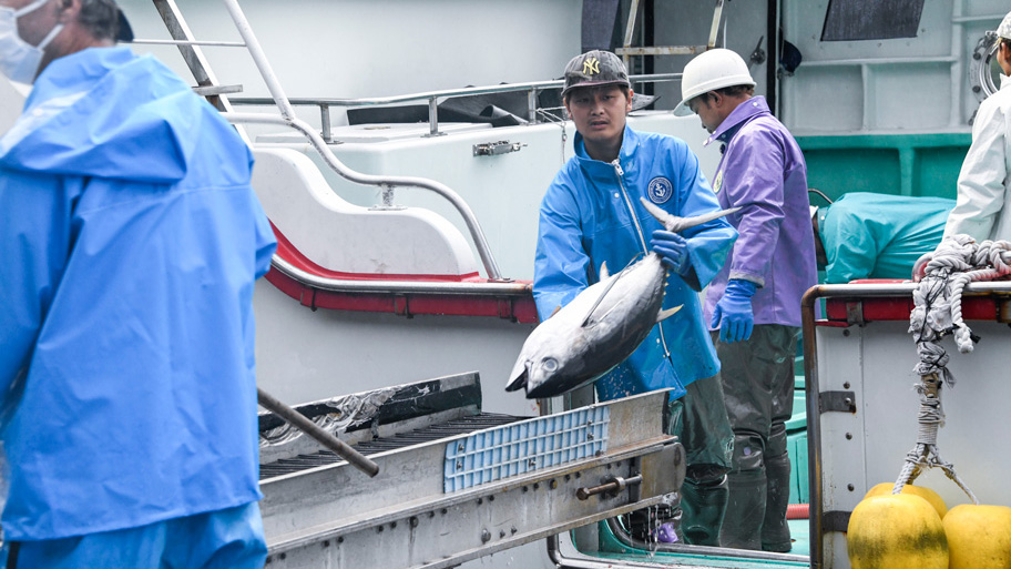 尾鷲物産の「第十一良栄丸」の水揚げの様子