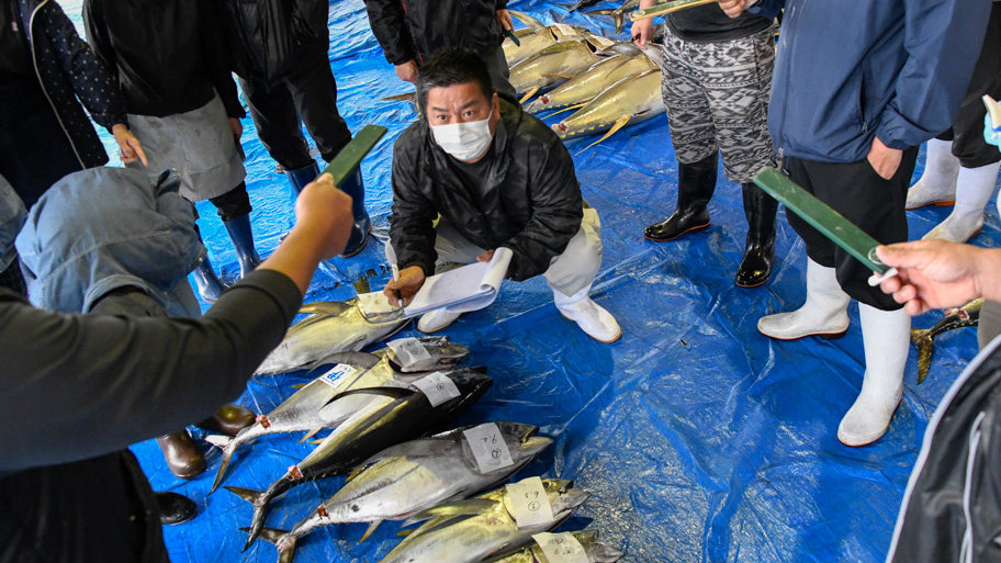 MSC認証取得漁業によるメバチマグロのセリ