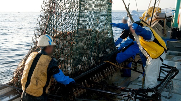 北海道漁業協同組合連合会：ホタテガイ漁業