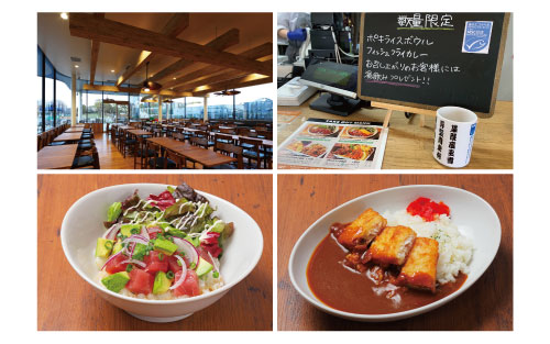 葛西臨海公園内「Parklife Cafe & Restaurant」店内と「マグロとアボガドのポキ・ライスボウル」と「フィッシュフライカレー」