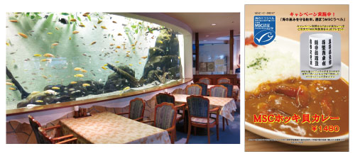 名古屋港水族館内レストラン「アリバダ」の店内と「MSCホッキ貝カレー」のポスター