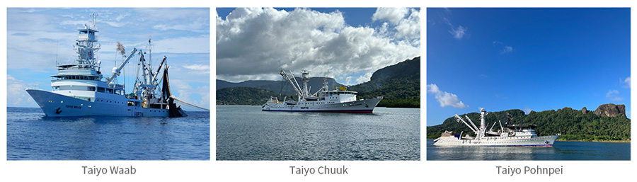カツオとキハダマグロのまき網漁業漁船、Taiyo WaabとTaiyo ChuukとTaiyo Pohnpeiの写真