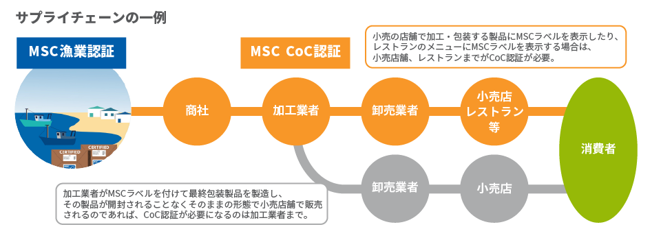 CoC認証規格　サプライチェーンの一例の図